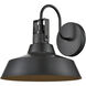 Axell 1 Light 9.75 inch Powder Coated Black Outdoor Wall Sconce